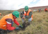 Minería y agricultura