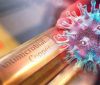 La propiedad antiviral del cobre La propiedad antiviral del cobre
