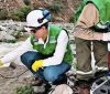 Minería y medio ambiente: en época de pandemia Minería y medio ambiente: en época de pandemia