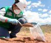 La fiscalización ambiental en tiempo de pandemia La fiscalización ambiental en tiempo de pandemia