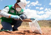 La fiscalización ambiental en tiempo de pandemia