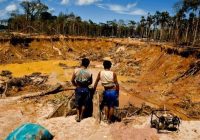 Minería ilegal: las urgentes medidas que se proponen para combatirla
