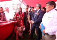 MINEM: “Ningún país tiene tantos proyectos mineros como el Perú”