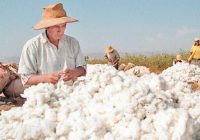 Promperú: Perú Moda en Brasil prevé US$ 38.5 millones a favor de la oferta peruana