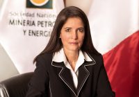 Presidenta de la SNMPE: “Nos alarma” el carácter hereditario del Reinfo