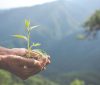 SE impulsa la gestión ambiental con nueva herramienta digital SE impulsa la gestión ambiental con nueva herramienta digital