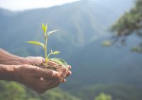 SE impulsa la gestión ambiental con nueva herramienta digital