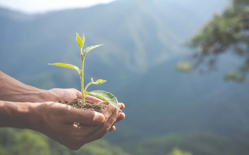 SE impulsa la gestión ambiental con nueva herramienta digital SE impulsa la gestión ambiental con nueva herramienta digital