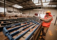 Entre el 2025 y 2029 se proyecta el inicio de 16 proyectos mineros con una inversión de US$ 15,169 millones