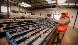 Entre el 2025 y 2029 se proyecta el inicio de 16 proyectos mineros con una inversión de US$ 15,169 millones