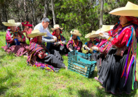 Micorrefugio en PERUMIN Inspira: Mujeres andinas usan biotecnología forestal para restaurar suelos degradados