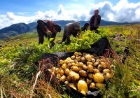 Agricultura regenerativa: proyecto desarrollado en Chugay recibe reconocimiento por producción sostenible e innovadora