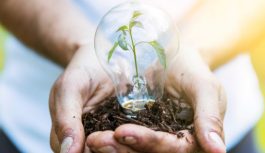 Schneider Electric alcanza 96 % de energía renovable en sus operaciones