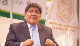 Trabajo conjunto será clave para el desarrollo de las tierras raras en América Latina, según especialistas