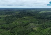 Senace impulsa inversiones sostenibles con nueva certificación ambiental en Loreto