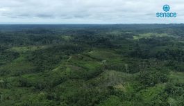 Senace impulsa inversiones sostenibles con nueva certificación ambiental en Loreto