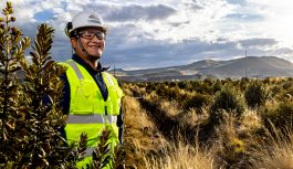 ANTAPACCAY obtiene la segunda estrella de huella de carbono y refuerza su compromiso con la gestión ambiental responsable.