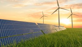 Innovación y colaboración impulsan la transición hacia economías bajas en carbono en Perú Innovación y colaboración impulsan la transición hacia economías bajas en carbono en Perú