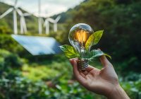 Día Internacional de la Energía Limpia: cuánto ha avanzado el mundo y qué sigue pendiente de la transición global Día Internacional de la Energía Limpia: cuánto ha avanzado el mundo y qué sigue pendiente de la transición global