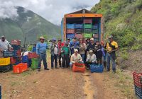 Minera y agroexportadora impulsan juntos la primera cosecha de 40 toneladas de palta Hass de exportación en Chuquitambo